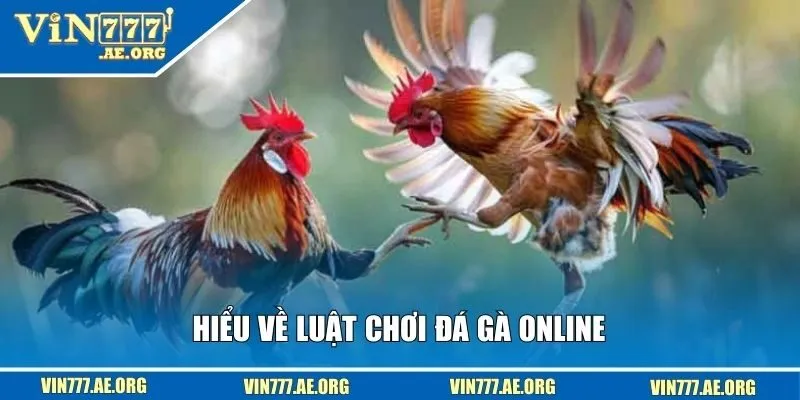 Hiểu về luật chơi đá gà online 
